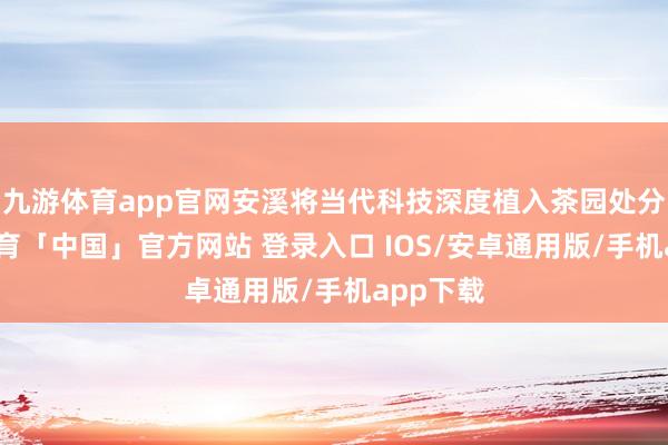 九游体育app官网安溪将当代科技深度植入茶园处分-九游体育「中国」官方网站 登录入口 IOS/安卓通用版/手机app下载